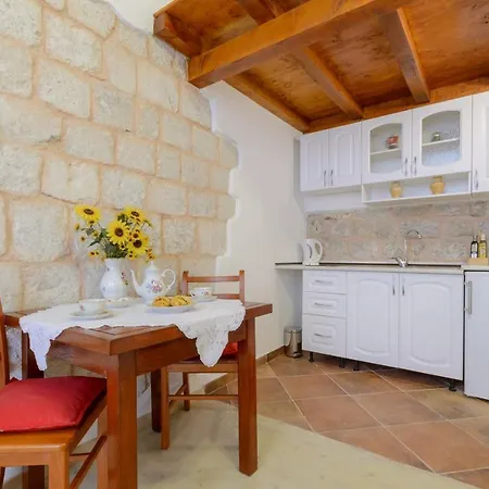 Klara Ντουμπρόβνικ